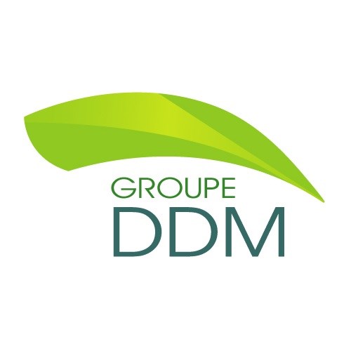Groupe DDM